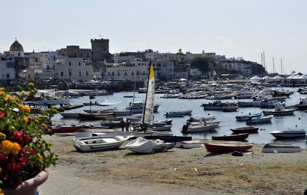 1670_2.jpg