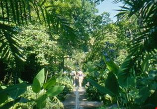 1670_22.jpg 1670_22.jpg