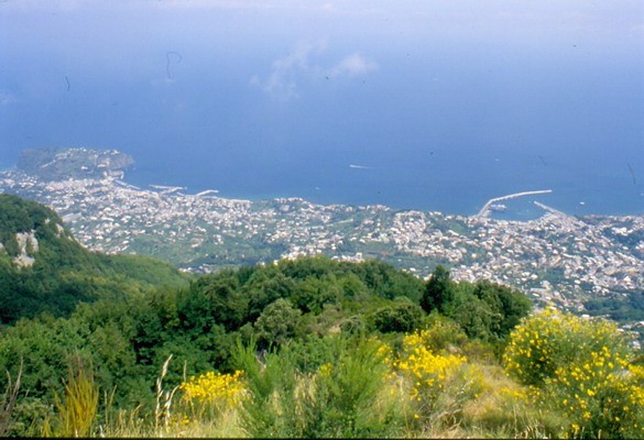 1671_19.jpg