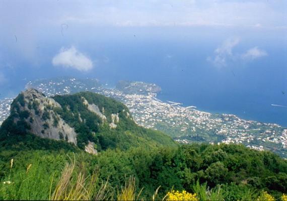 1671_20.jpg
