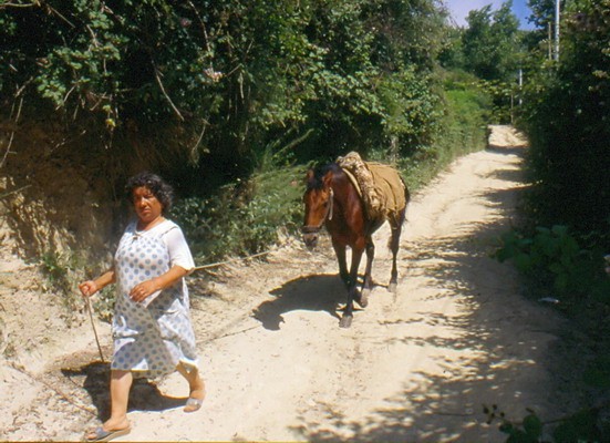 1671_21.jpg