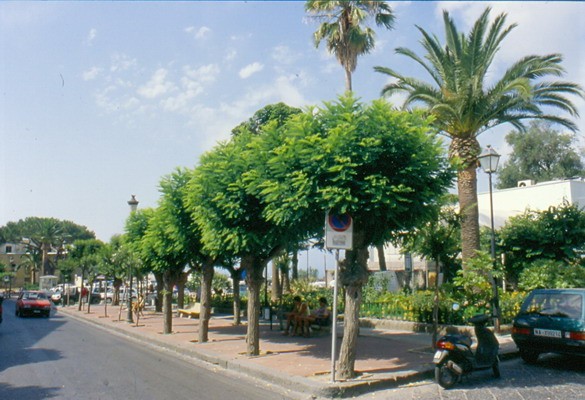 1671_5.jpg