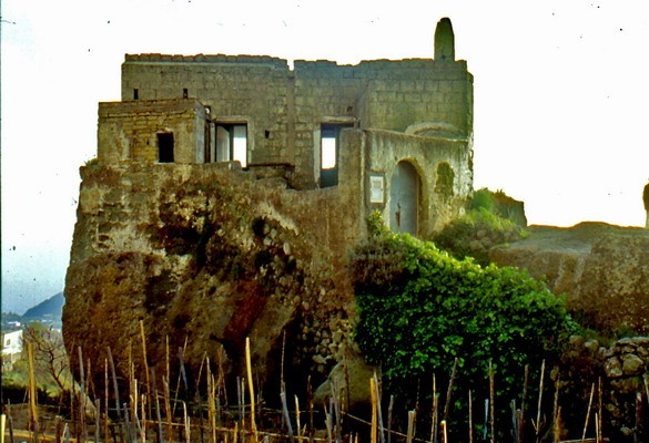 1671_7.jpg