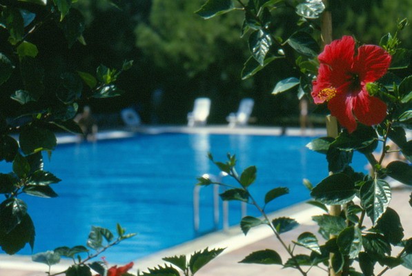 1672_12.jpg