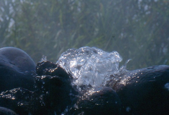 1672_13.jpg