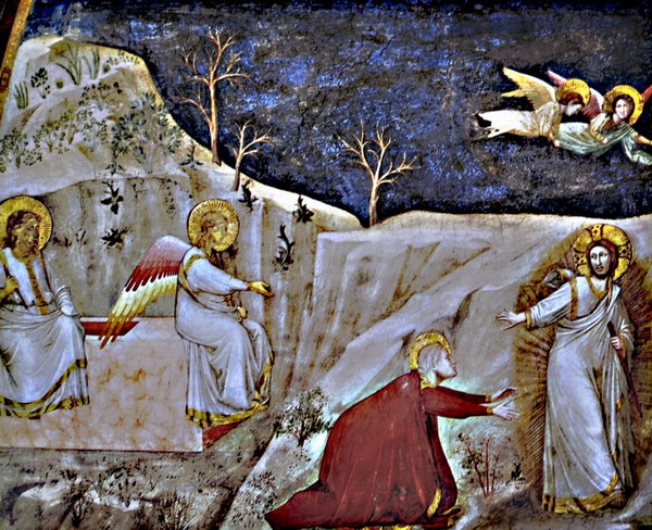 1687_13.jpg
