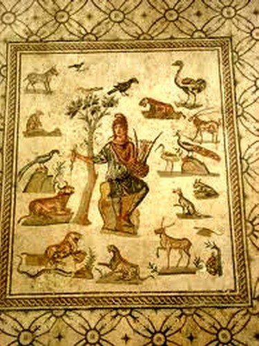 1705_25.jpg