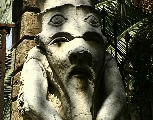 1707_11.jpg