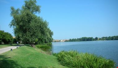 1731_1.jpg 1731_1.jpg