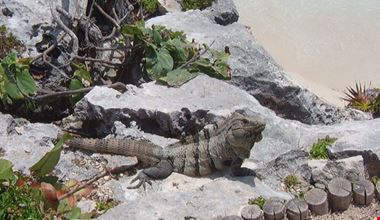 173_4.jpg 173_4.jpg