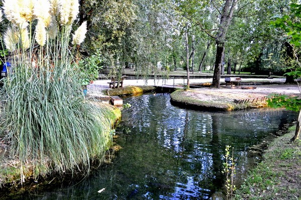 1751_22.jpg