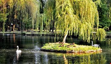 1751_28.jpg 1751_28.jpg