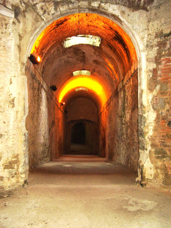 176_4.jpg