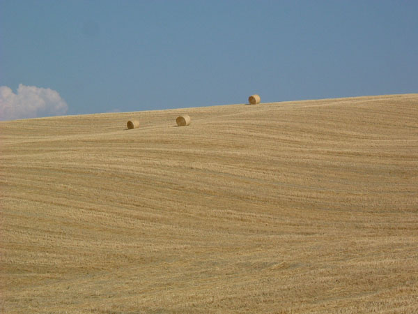 179_4.jpg