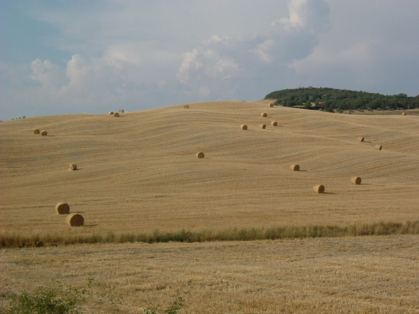 179_6.jpg