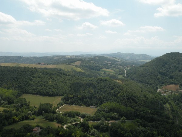 1808_4.jpg
