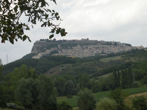 1808_7.jpg