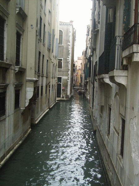 1811_2.jpg