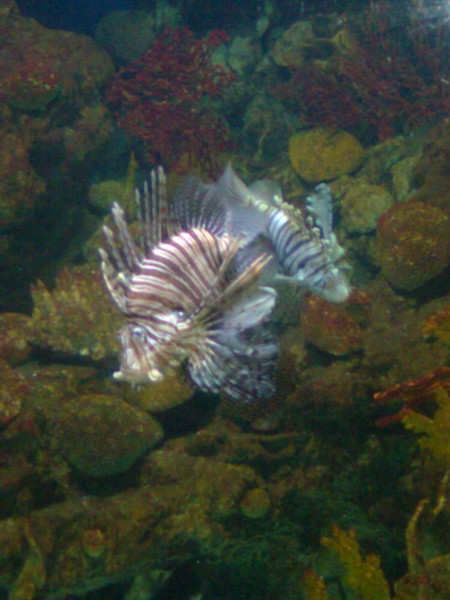 1861_7.jpg