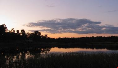 1871_21.jpg 1871_21.jpg