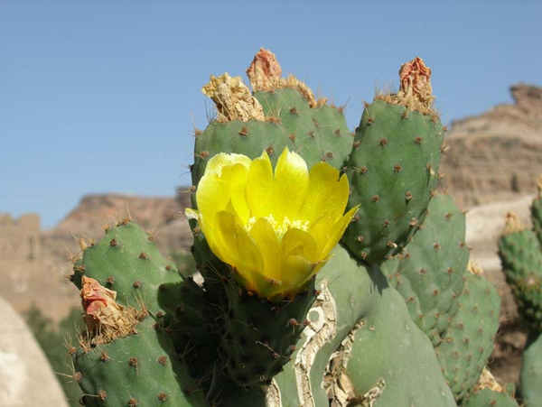 187_9.jpg