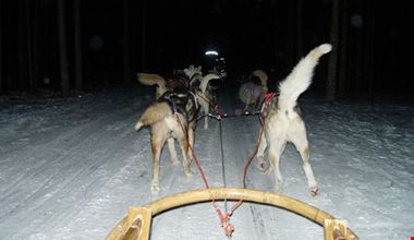 198_6.jpg 198_6.jpg