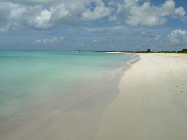 199_9.jpg