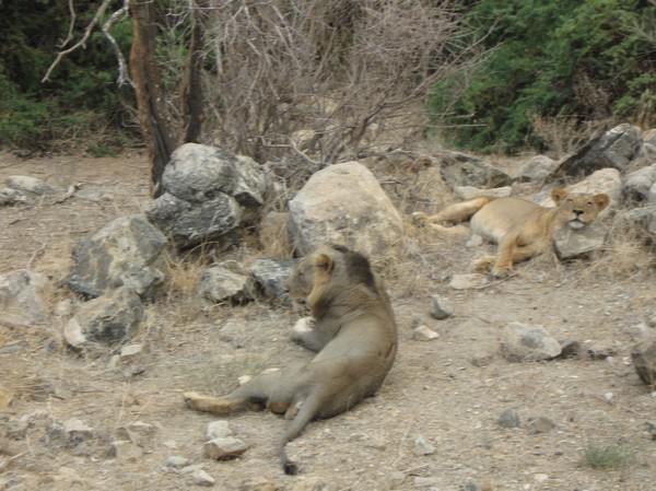 2005_2.jpg