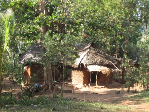 2005_3.jpg