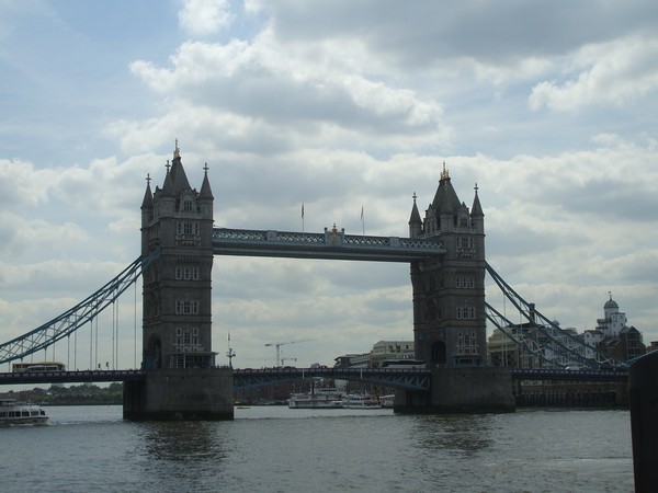 2453_2.jpg