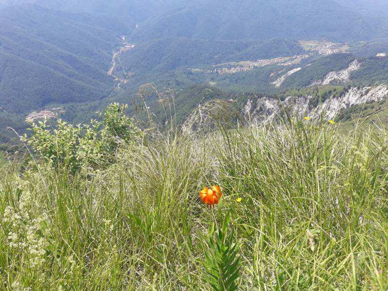 Cammino Celeste