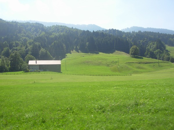 2530_4.jpg