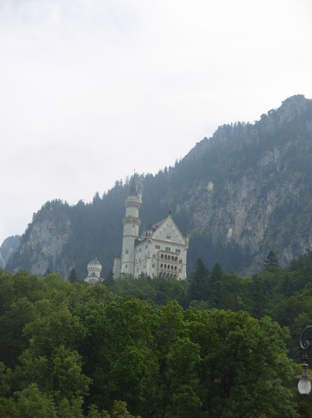 2530_5.jpg