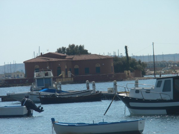 2536_2.jpg