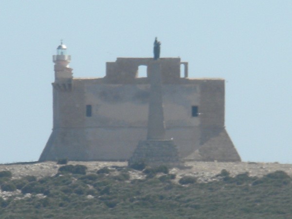 2536_5.jpg