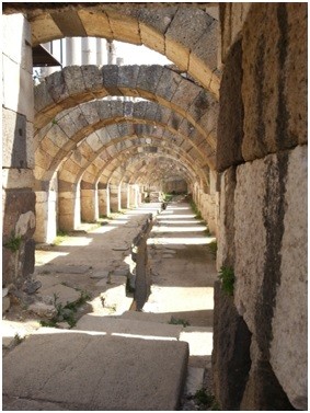 2574_2.jpg