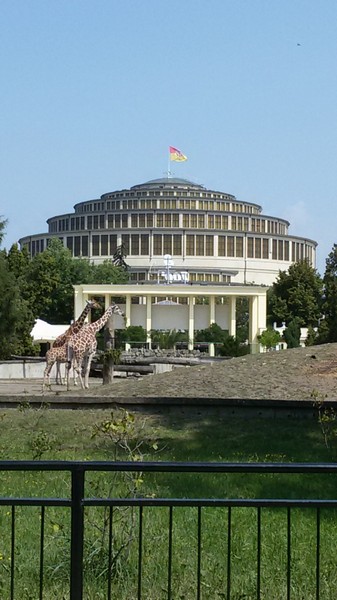 2589_10.jpg