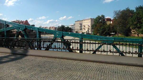 2589_5.jpg