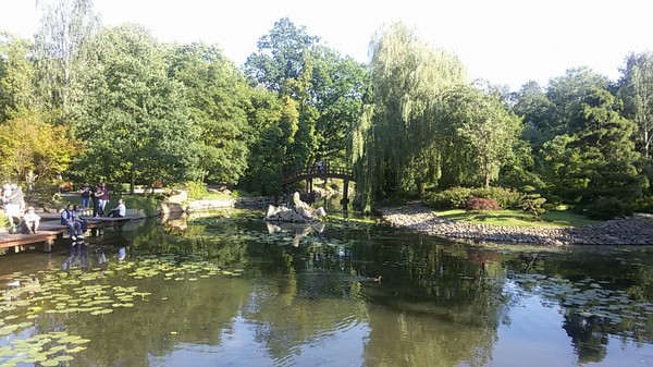 2589_8.jpg