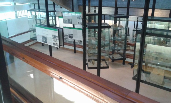 2619_10.jpg