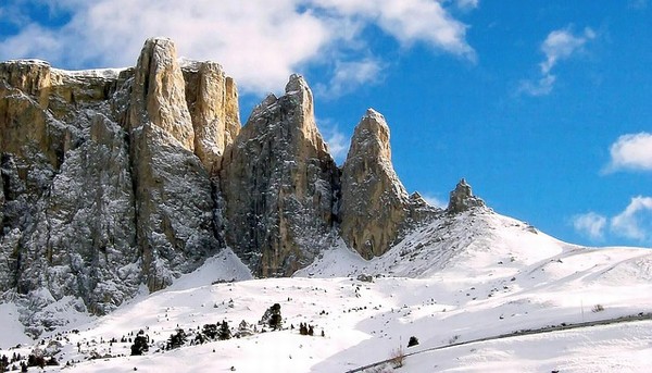2623_4.jpg