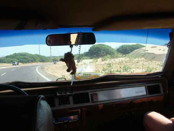 264_21.jpg