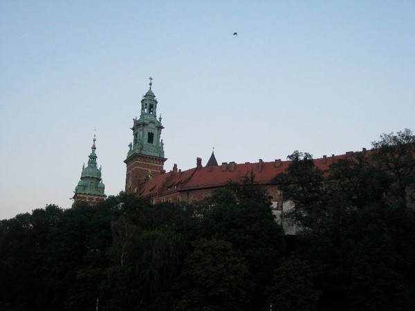 2654_4.jpg
