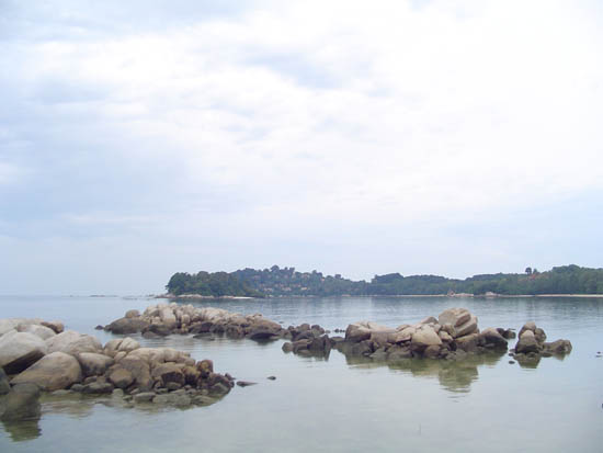 271_22.jpg