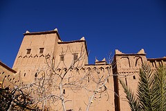 443_16.jpg