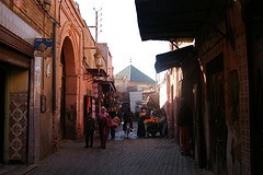 443_6.jpg