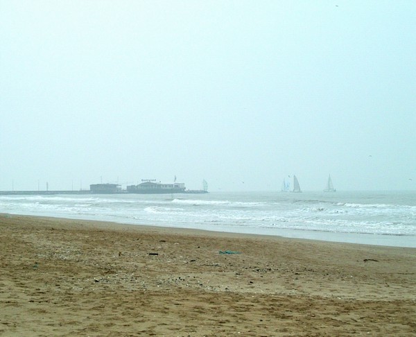 467_10.jpg