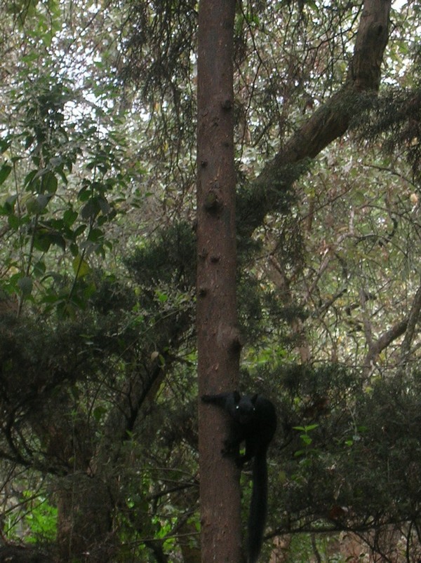 487_15.jpg