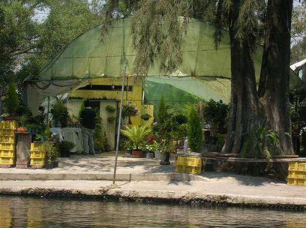 487_33.jpg