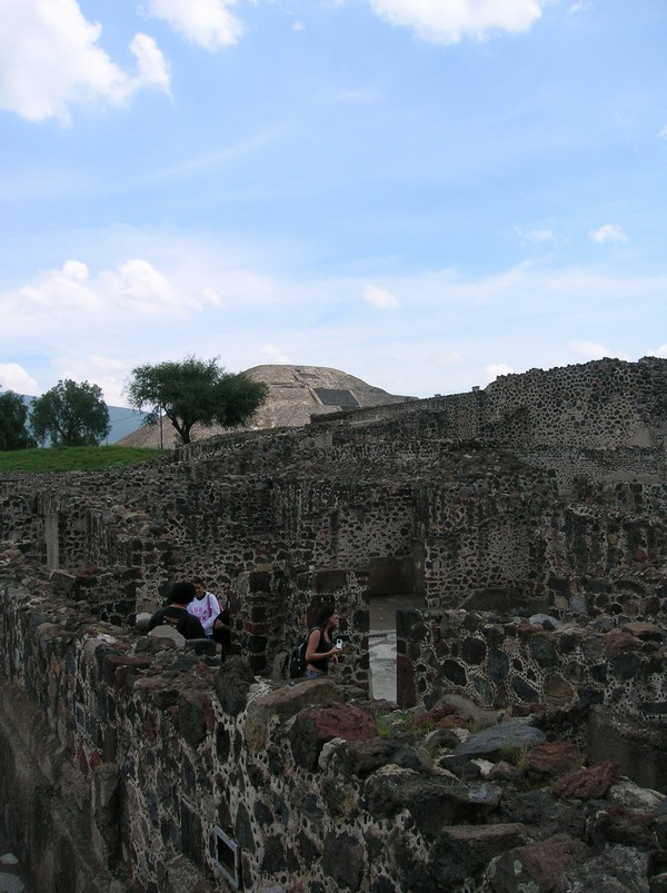 498_24.jpg